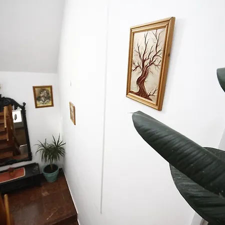 Parti Panzió 3*