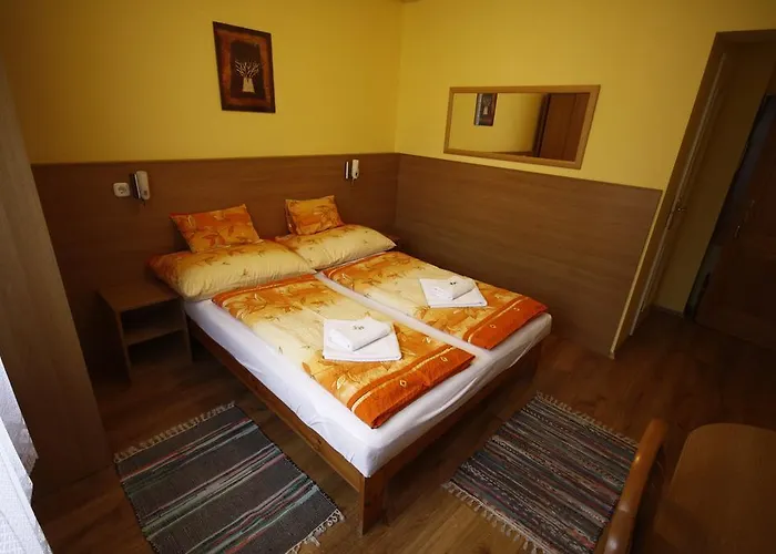 Parti Panzio 3*